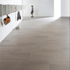 Core Collection Solids - Architessa